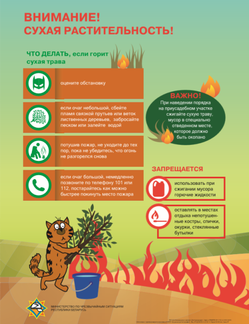 Приложение 1